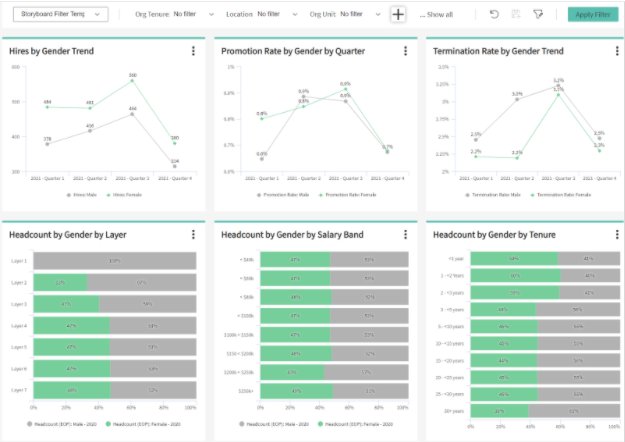 diversity, equity, and inclusion (DEI) dashboard example