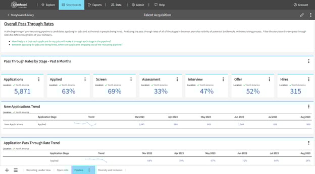 Storyboard page showing applicant pipeline and overall pass through rates. 