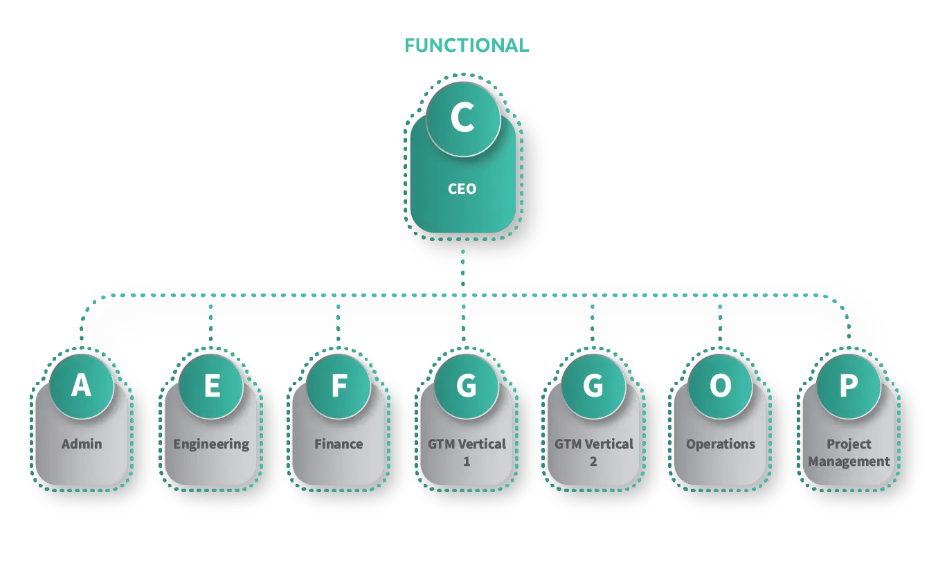 Workforce Structures-Functional-05