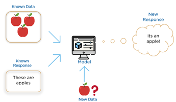 supervised learning